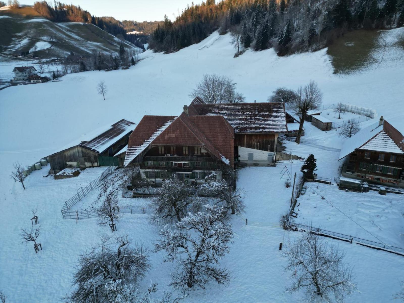 Emmental Ferien Apartment Langnau im Emmental Exterior photo