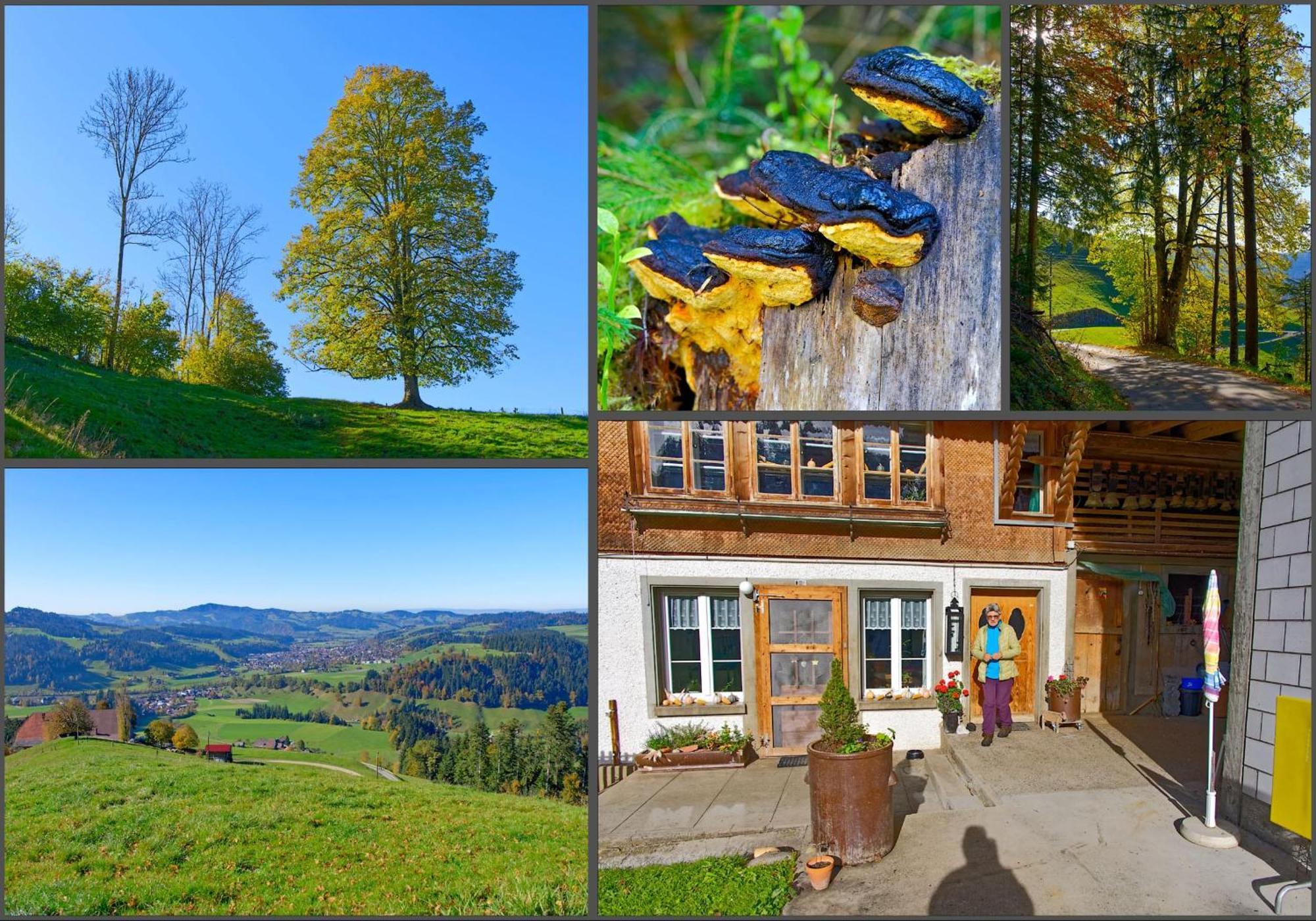 Emmental Ferien Apartment Langnau im Emmental Exterior photo